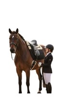 Horse Saddle Sheepskin Seat