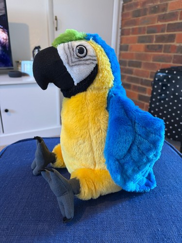 Blue yellow macaw bird - blue,