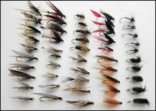 Wet Trout Flies, 50 per Pack, All named Varieties, for fly fishing, SF3C