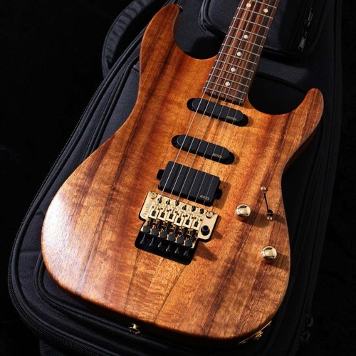 Suhr reb beach - beach, signature
