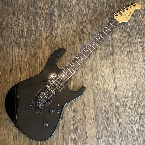 Chatting bird electric guitar - bird electric,