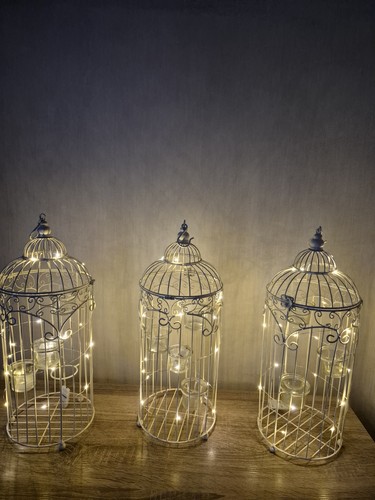 Wedding large birdcages - wedding,