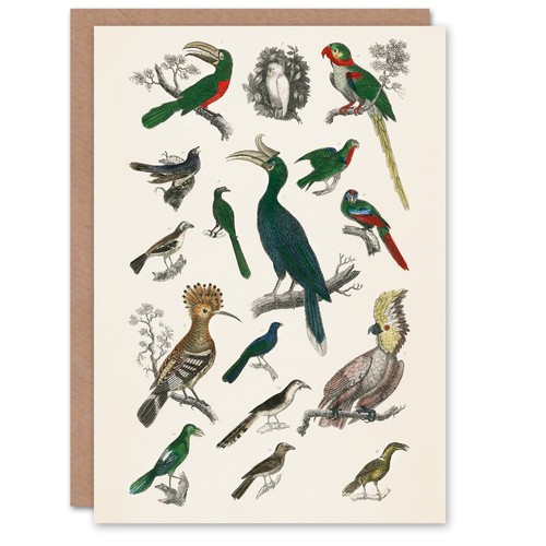 Oliver goldsmith art card - goldsmith,
