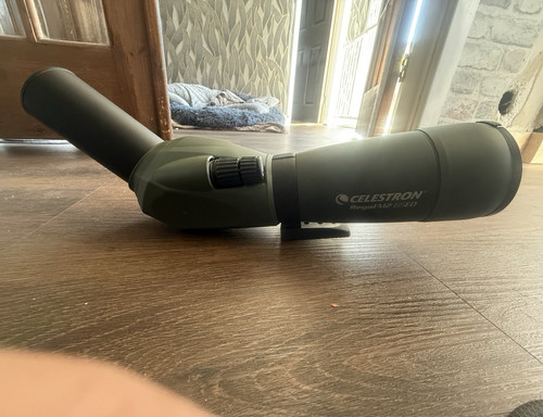 Celestron regal 65ed - 65ed, angled