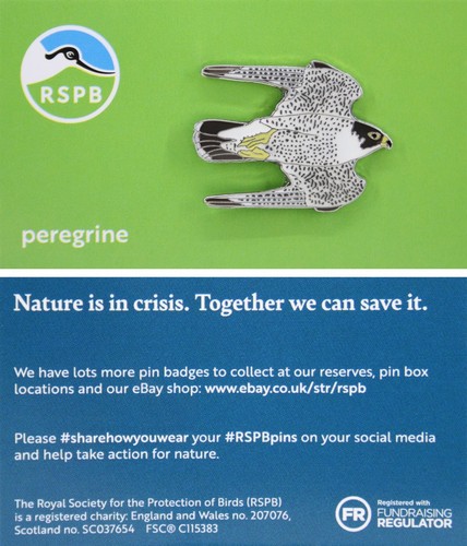 Rspb pin badge - badge, peregrine