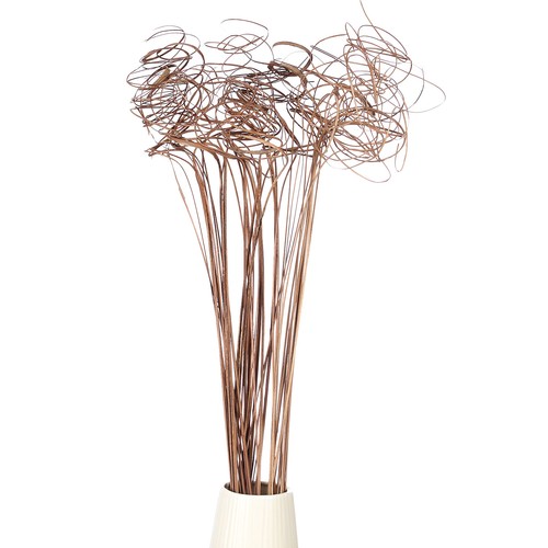 Pcs dried curly willow - 30,