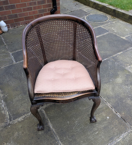Dark wood rattan cane - rattan,