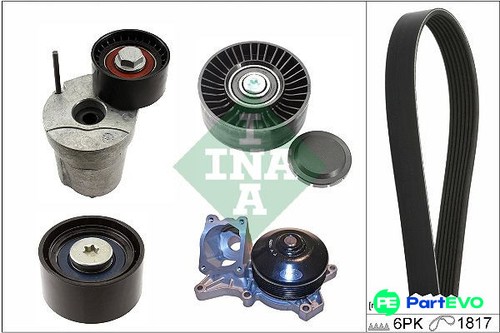Schaeffler ina water - pump, +