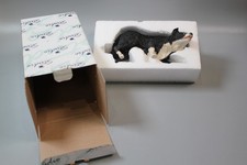 Variety of Studio Border Fine