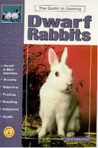 Guide owning dwarf rabbits - guide, to