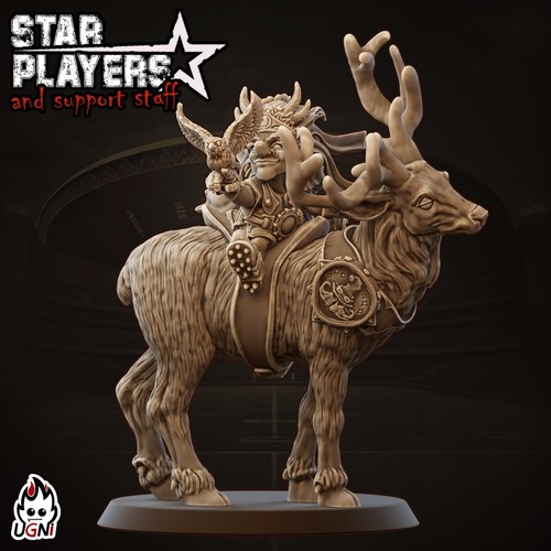Forest gnome star player proxy - star,