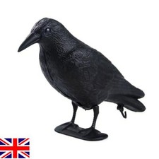 Pigeon Scarer Life Size Decoy