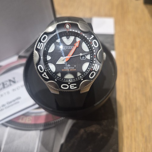 Citizen promaster dive - promaster, "orca"