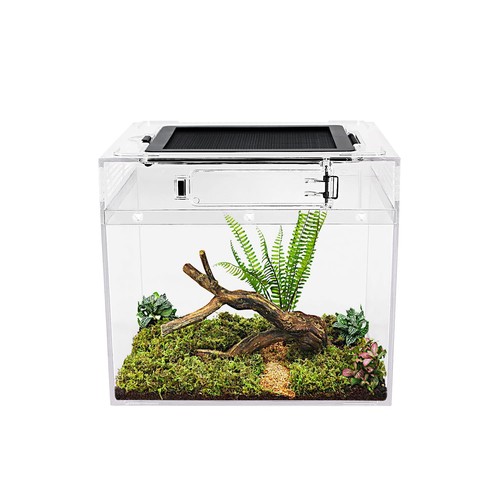 Durable mini reptile tank - mini,