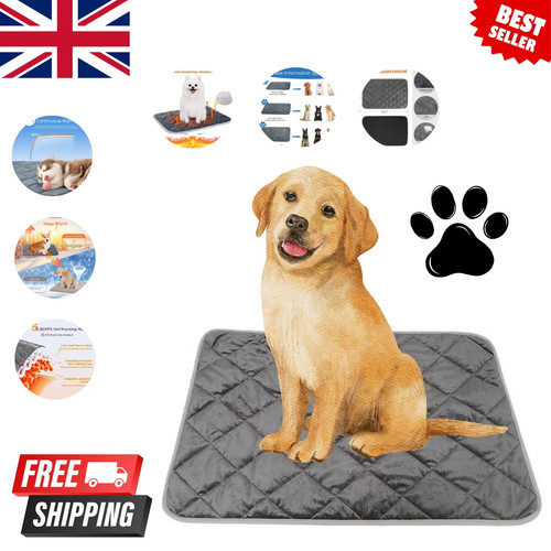 Self heating pet - heating, pad