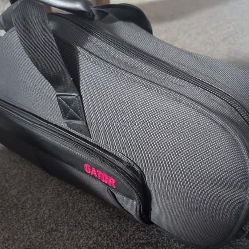 Tenor saxophone hard - tenor, case