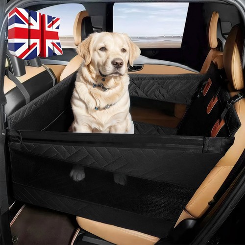 Hard bottom dog cat car - dog,