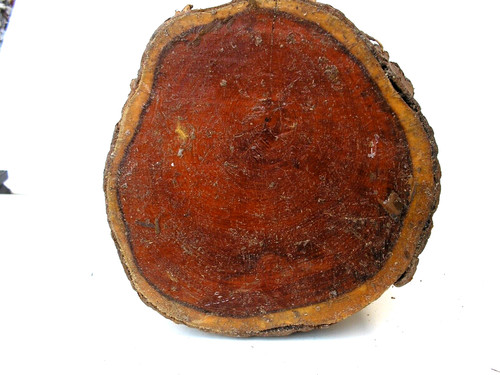 Yew log 27cm long - yew, to