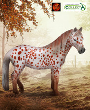 British Spotted Pony Mare