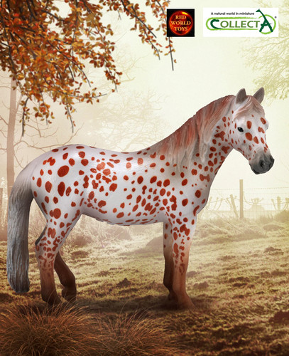 British spotted pony mare - spotted,