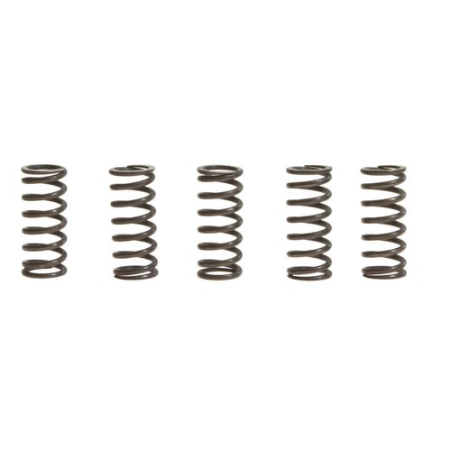 Trw clutch springs - trw, kit
