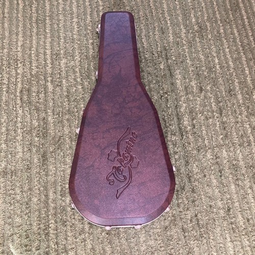 Takamine guitar with hard case - hard,