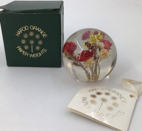 Hafod grange dried - dried, flower