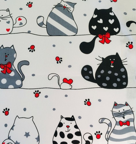 Crazy cats black - crazy,