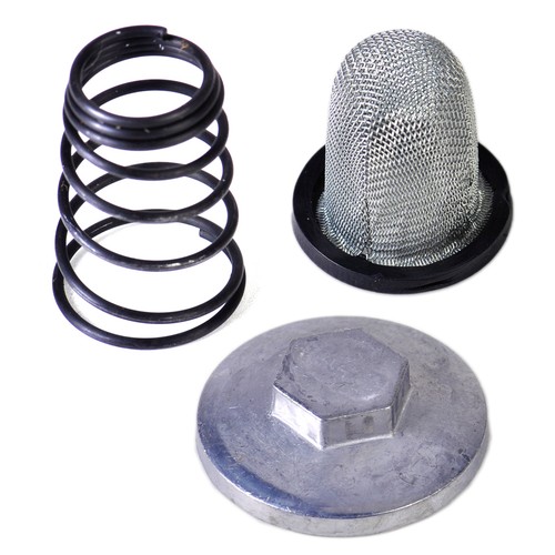 Scooter oil filter - filter, plug