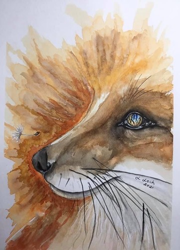 Watercolour painting fox - watercolour, of