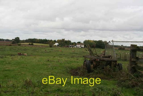 Photo 6x4 cattle - and, old
