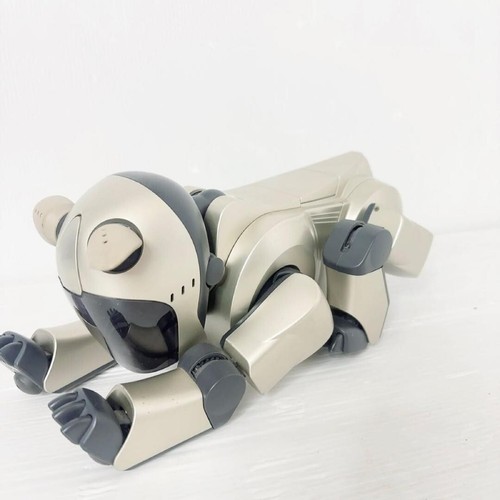 Junk sony aibo - ,
