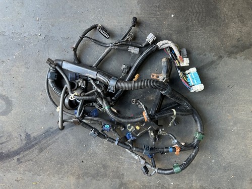 Full engine wiring loom - wiring,