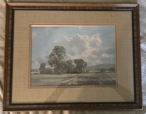 Frank wootton the south - wootton, downs