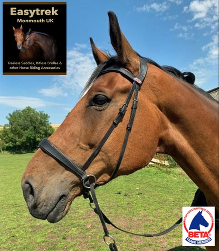 English bitless bridle leather - bitless,