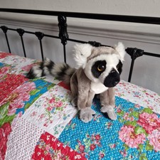 Suma Ravensden Ring Tailed