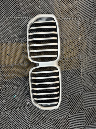 Bmw front bumper - front, grill