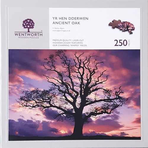 Wentworth wooden puzzles - wooden,