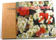 The Satsuki Kenkyu by Keenko