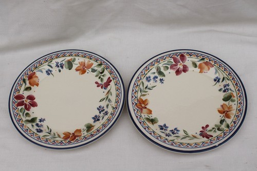 Staffordshire tableware - 2,