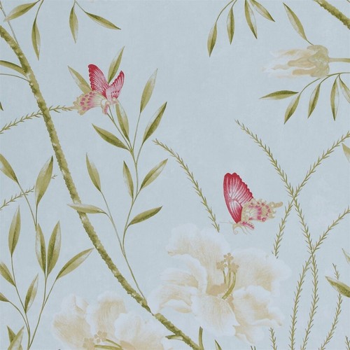 75018 harlequin papillon - 75018,