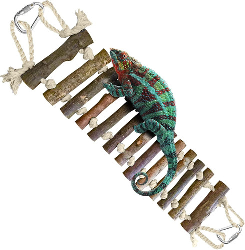 Gecko wooden ladder bridge - gecko,