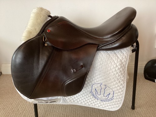 Albion adjusta jump - k2,