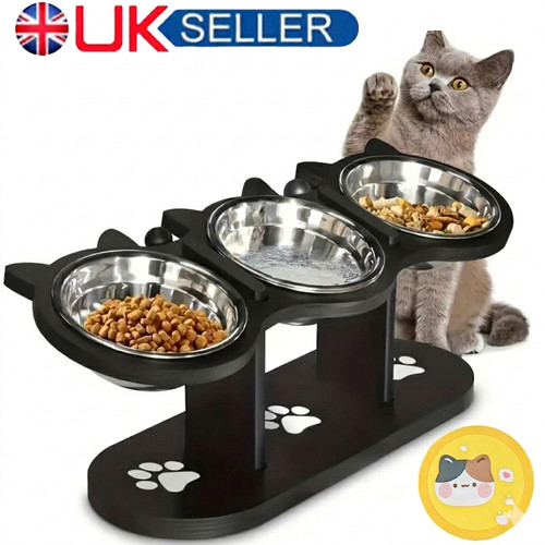 Cat dog food feeding - food,