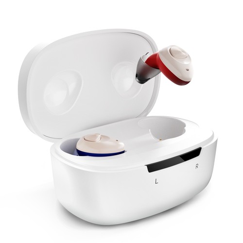 Ceretone hearing aids torch - hearing,