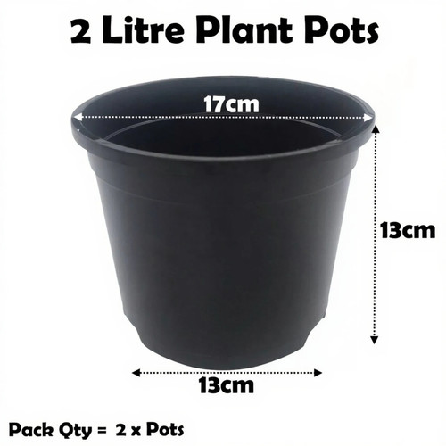 Litre black plant pots - 2,