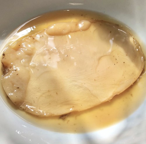Size kombucha scoby and - size,