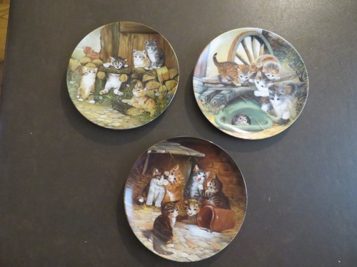 Seltmann weiden kitten - seltmann,