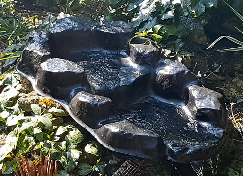 Waterfall garden pond - pond, water