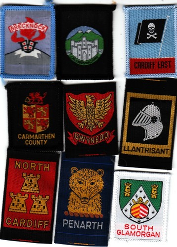 Boy scout badges - from, x